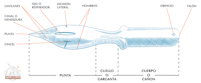 partes de una pluma