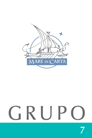 grupo 7